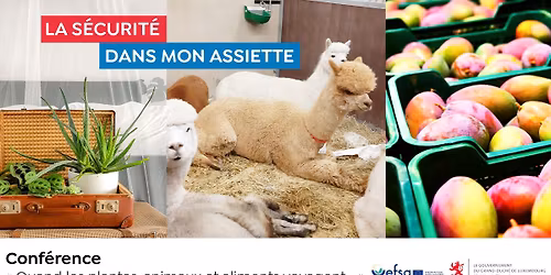 La s\u00e9curit\u00e9 dans mon assiette -  Quand les animaux, plantes et aliments voyagent\u2026