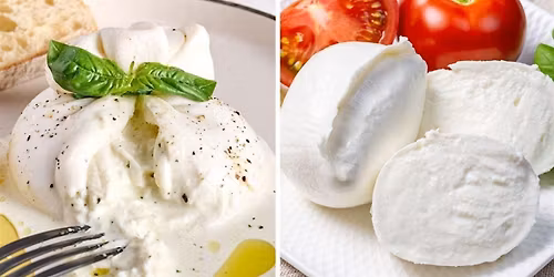 Cheesemaking - MOZZARELLA