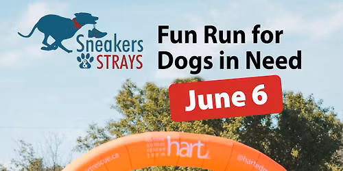 2026 Sneakers & Strays