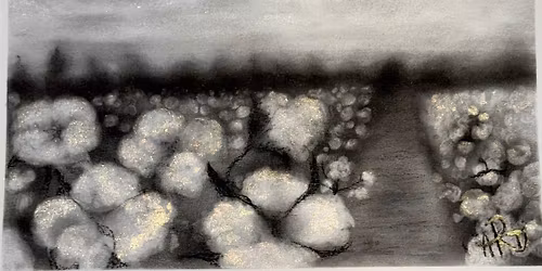 Cotton Field (Charcoal)