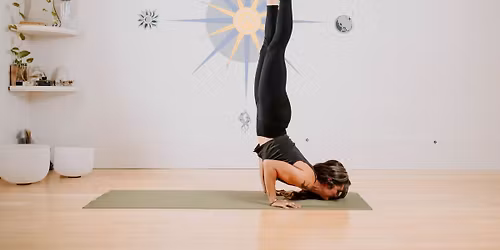 Beyond the Basics: An Arm Balance Workshops