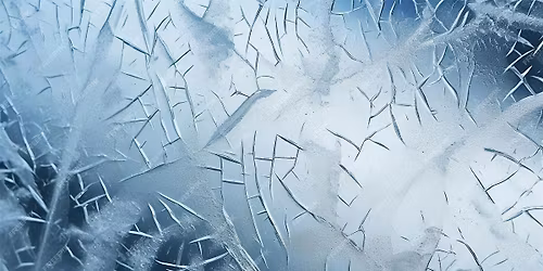 Emotions, Suffering, and Peace of Mind