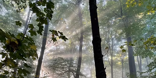 Kreatives Gestalten mit Naturfarben