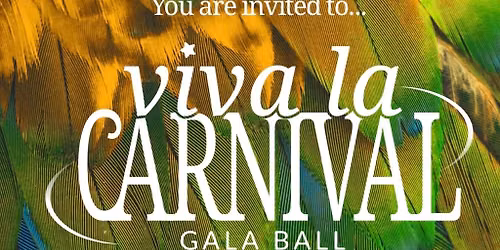 Make-A-Wish Gala Ball - Viva La Carnival 