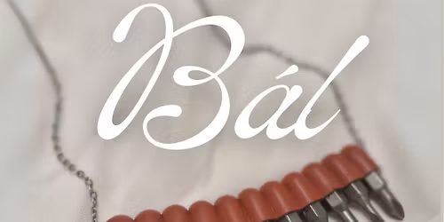 \ud83c\udfad B\u00c1L PODIVN\u00ddCH DETAIL\u016e \ud83c\udfad