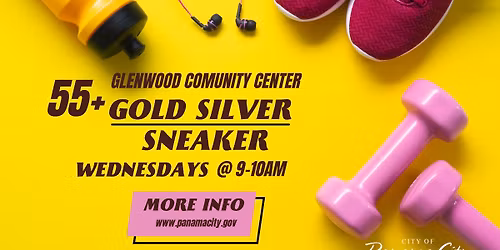 Gold Silver Sneakers