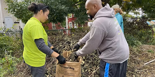 Joslin Community Garden: Clean Day and Bulb Planting