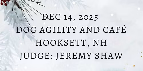 Teacup christmass trial