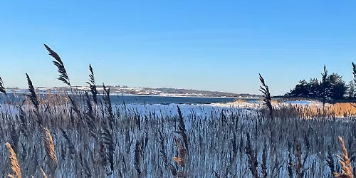 Kr\u00e6mmer\/ loppemarked 