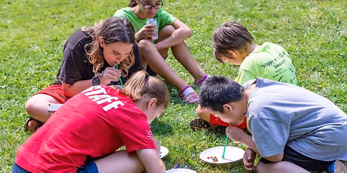 Sumpter Summer Parks Program - Carnival Week