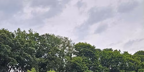 Park Yoga Summer Series