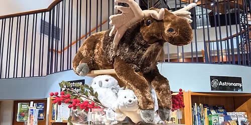 Jumbo Plush Moose Raffle!