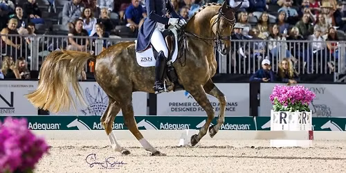 \u2728 Friday Night Stars - World Cup Qualifier