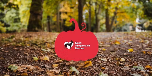 Sighthound Howl-o-ween Walk at Mote Park