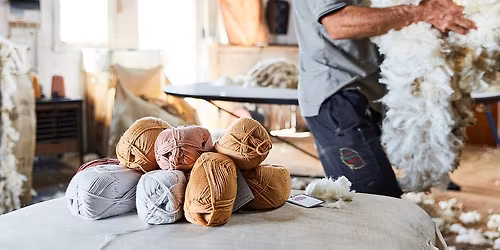 Tarndie goes to Coburg City Hall