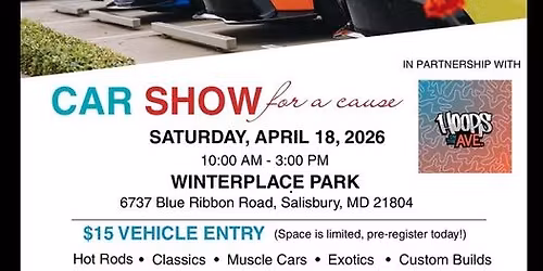 Car show for a cause 