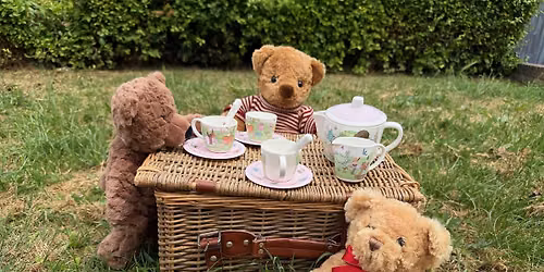 Kids Summer Fun presents The Teddy Bear Picnic with The Toy Project