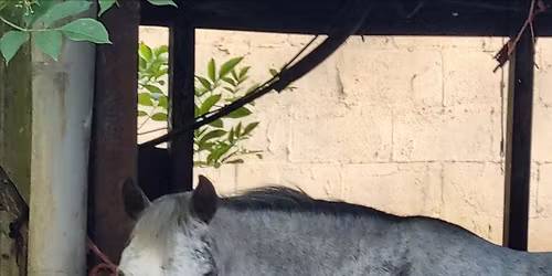 "The Power of the Pause"-a Guilt-free day to Rest, Reset & Refuel Your Soul