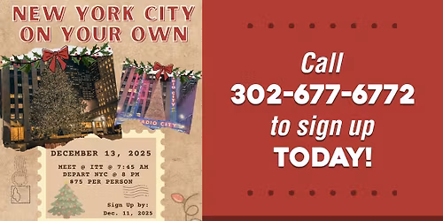 New York City: On Your Own