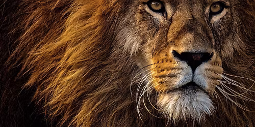 Nashville SongWritin Kat's 