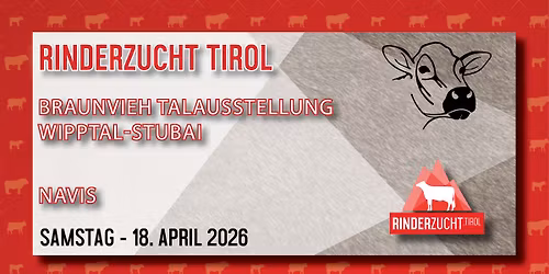 Braunvieh Talausstellung Wipptal-Stubai