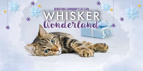 Whisker Wonderland - Art Class & Shopping