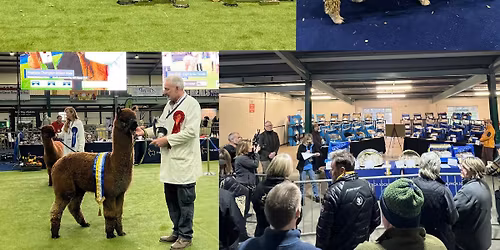 BAS National Show 2026