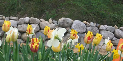 "Thankful" Farmers Market Saturday! Free
