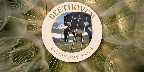 Beethoven Symphony No. 3 "Eroica"