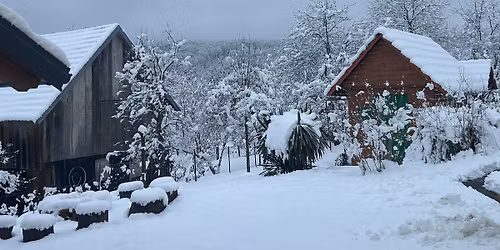 International Nanbudo Winter Seminar in Ravna gora