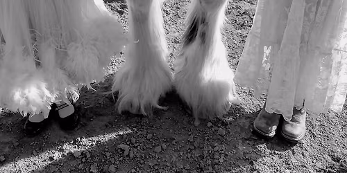 SDE Schooling Dressage Show 