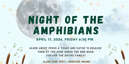 Night of the Amphibians