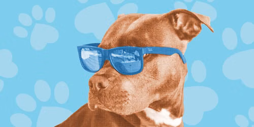 Dog Days of Summer at MUTTS\u00ae