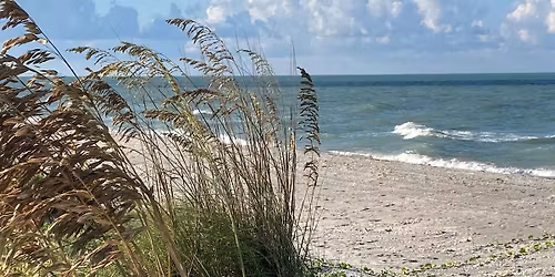 Florida-Friendly Landscaping for Barrier Islands @ Sanibel Library