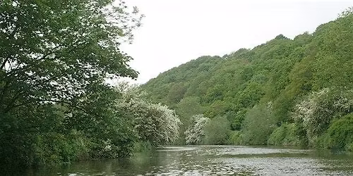 Conham River Forage Course