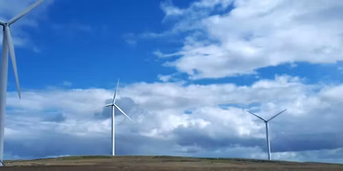 Renewable Electricity Price Guarantee