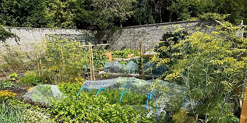 Nature friendly Gardening: An Introduction