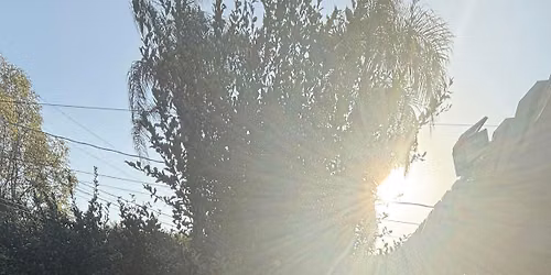 Somatic Energy Reset: Come back to your body