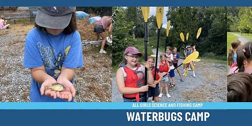 Waterbugs Summer Camp