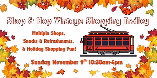 Shop and Hop Vintage Shopping Trolley