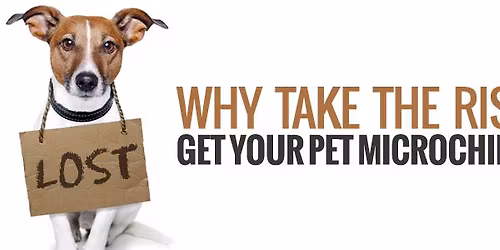 Microchip Clinic: Hollywood Feed\/Erin Way Memphis