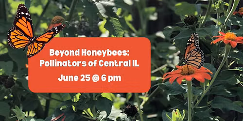Beyond Honeybees: Pollinators of Central IL