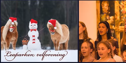 Julelystenning, Ponni-riding og korkonsert i Leaparken