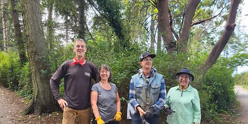 Invasive plant pull
