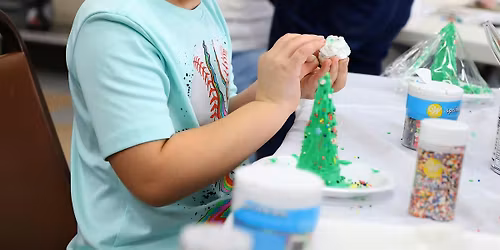 Christmas Mini Camp