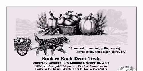 BMDCNV DRAFT TESTS