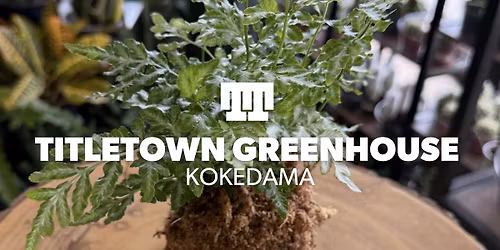 Titletown Greenhouse | Kokedama