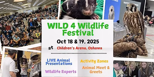 WILD 4 Wildlife Festival