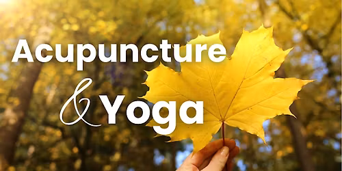 Softening Into Fall: Yin Yoga & Acupuncture Experience