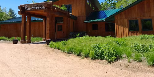 Natty Made: DIY Household Essentials